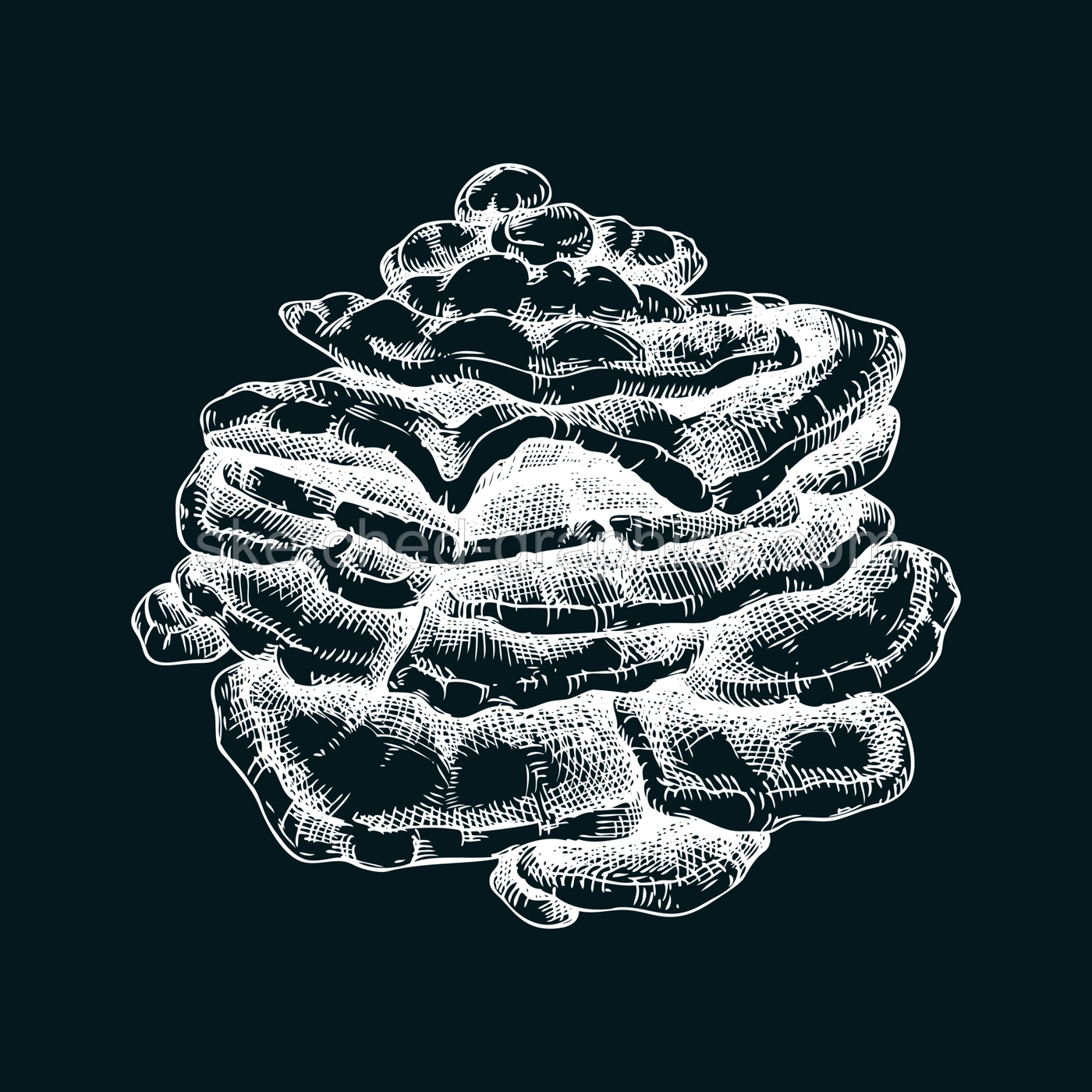 Chicken mushroom sketch. Edible fungus illustration on chalkboard. Fungal protein, mycoprotein, plant-based product ingredients, healthy food design element. Sulphur shelf mushroom drawing Illustration
